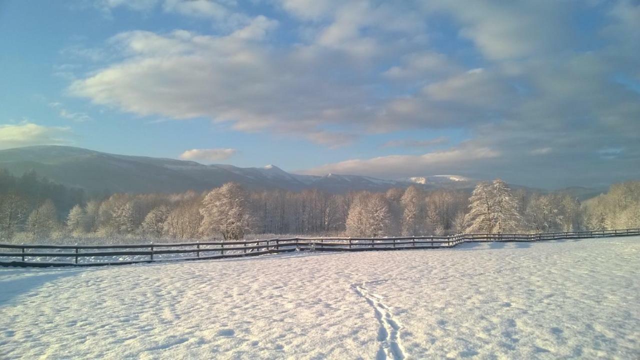 Wysokie Laki Domki W Gorach Kowary Exterior photo
